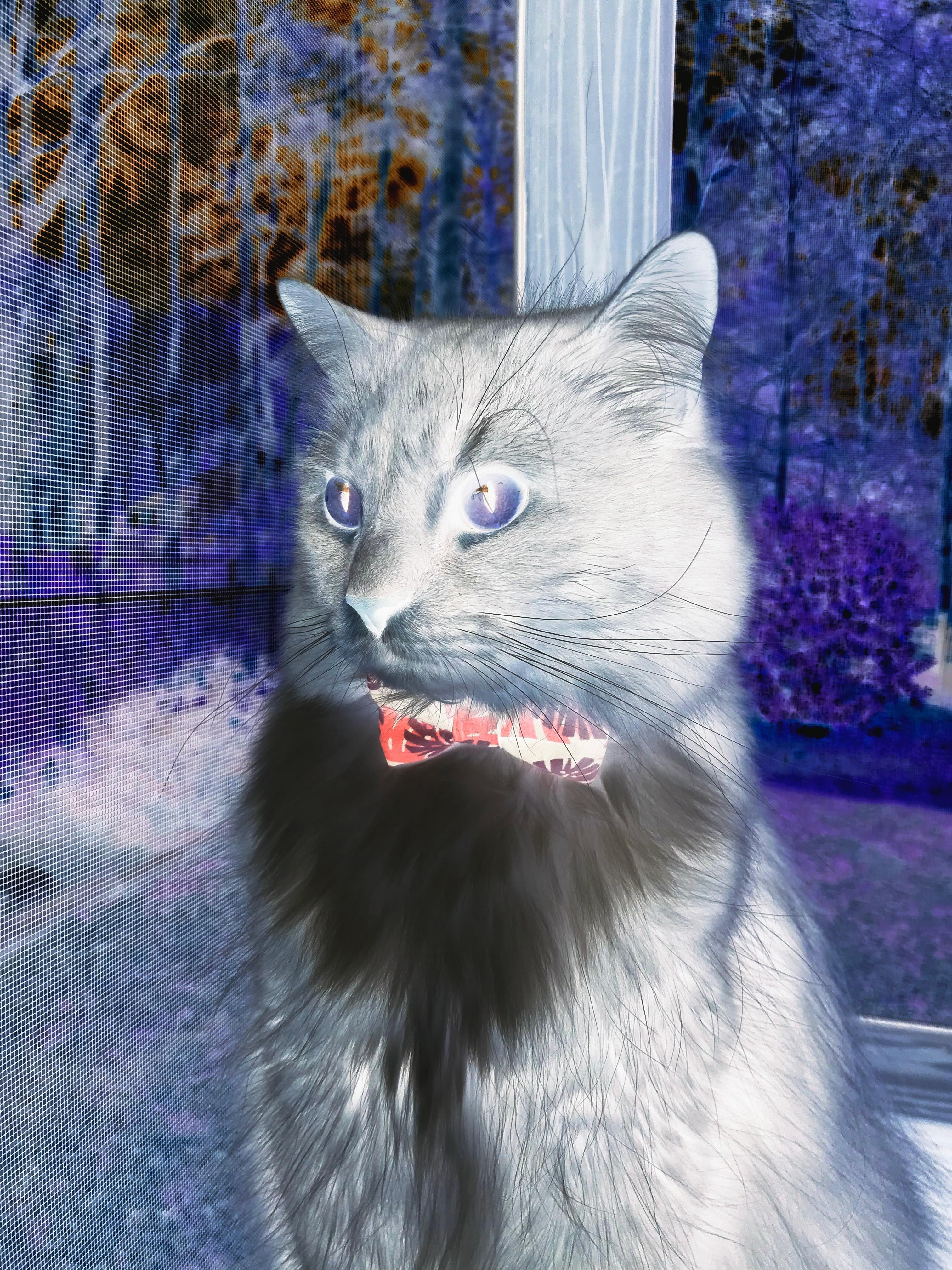 切特主宰生死战！雄鹿力克鹈鹕惊险过关