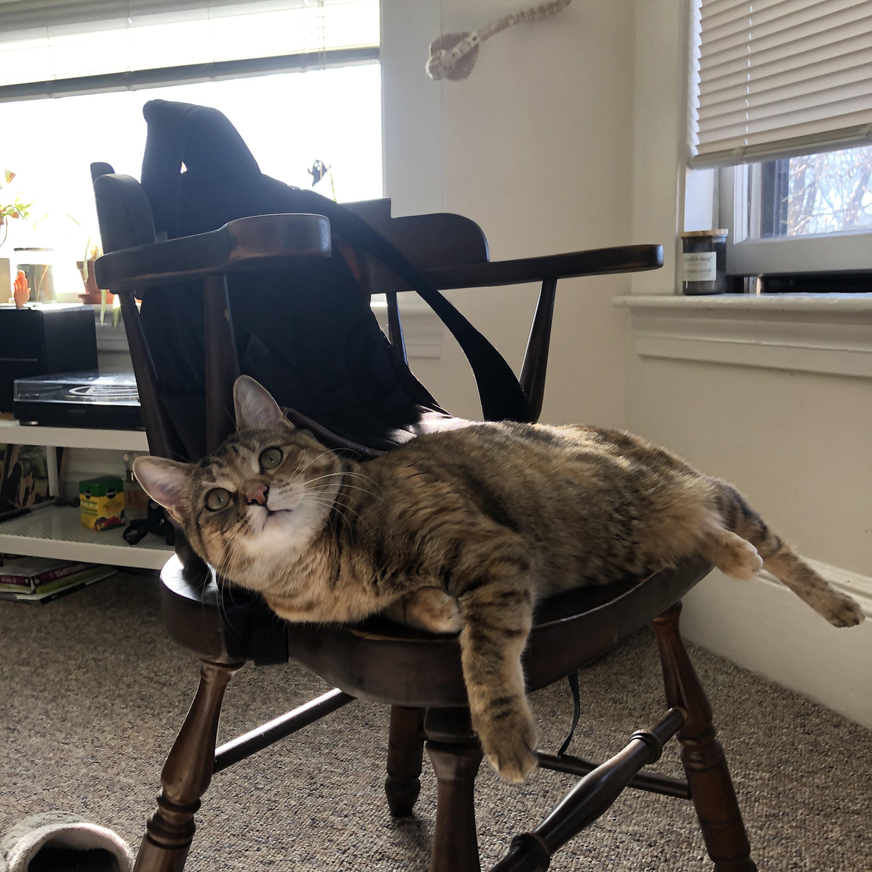 冷门之夜,厄韦多尔强势拿下葡萄牙,巴尔韦德统治全场