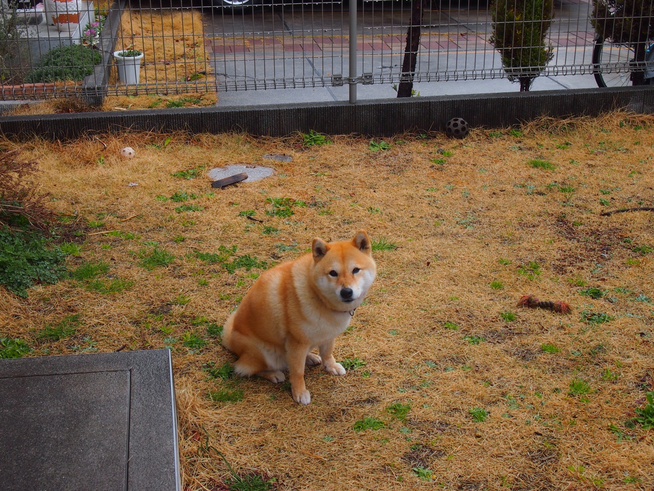 三分绝杀!乔治终场救主,湖人惊魂险胜广厦