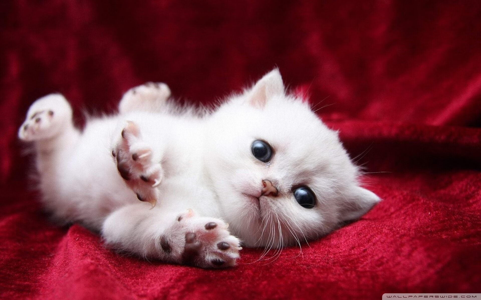 姆巴佩用实力证明自己，冰岛单节爆发拉开埃及，演绎手球场上的王者归来